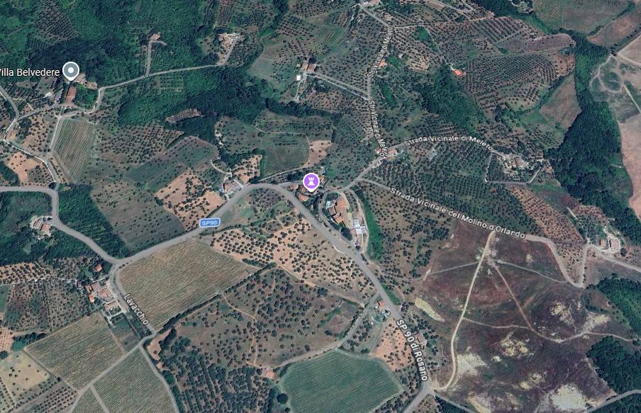 immagine annuncio 9 di 15