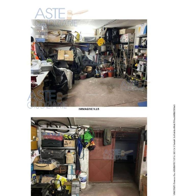 immagine annuncio 6 di 15