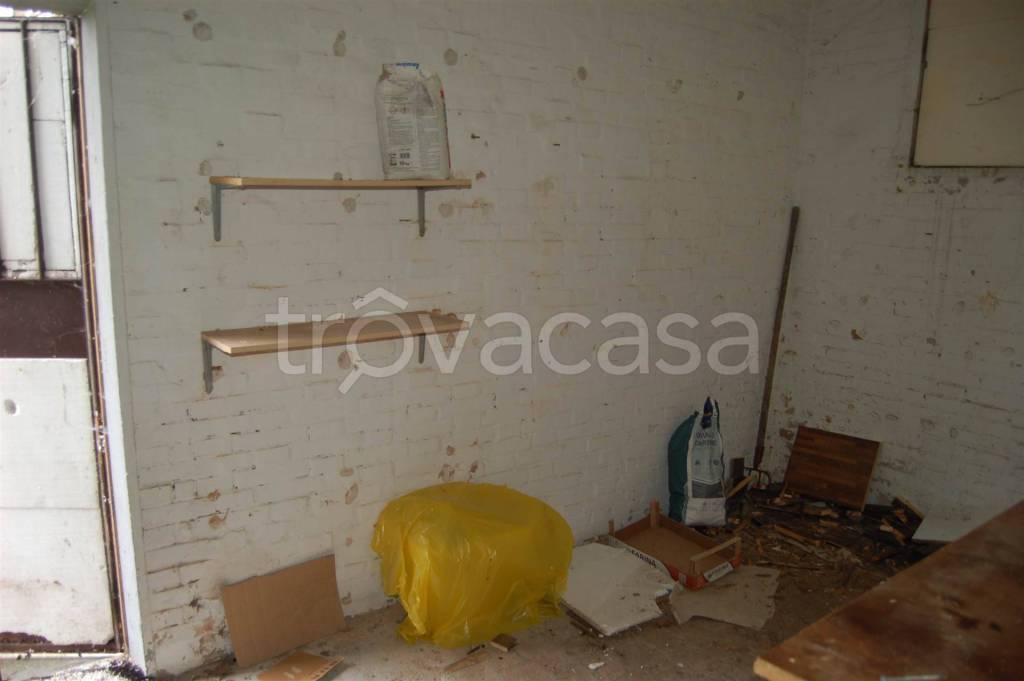 immagine annuncio 11 di 14