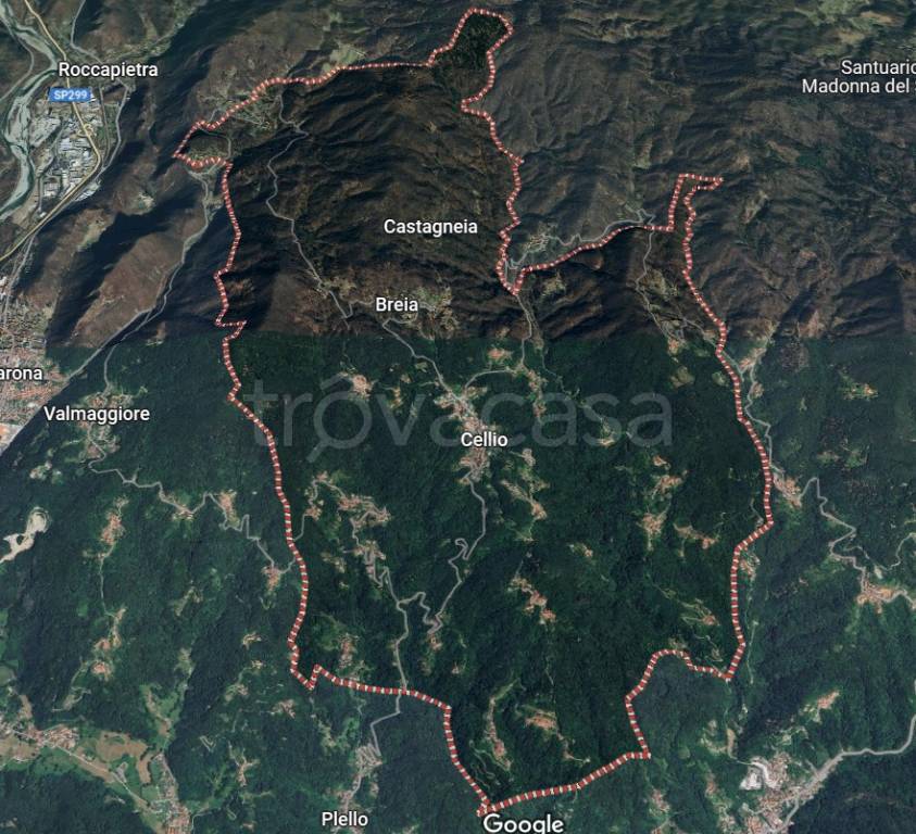 immagine annuncio 4 di 15