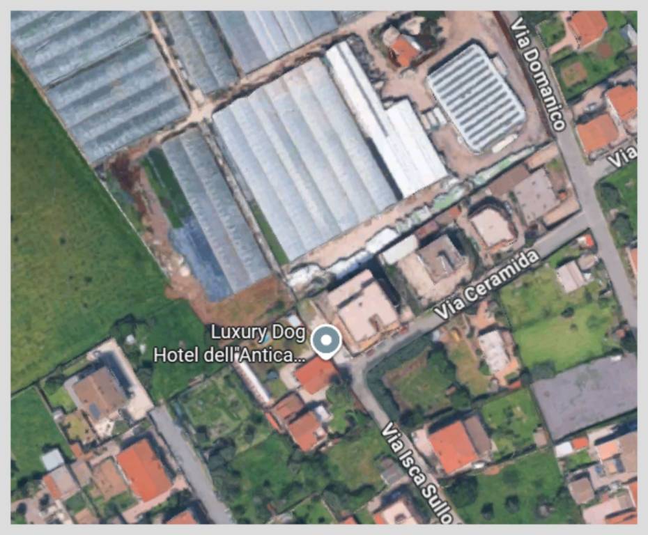 immagine annuncio 14 di 15