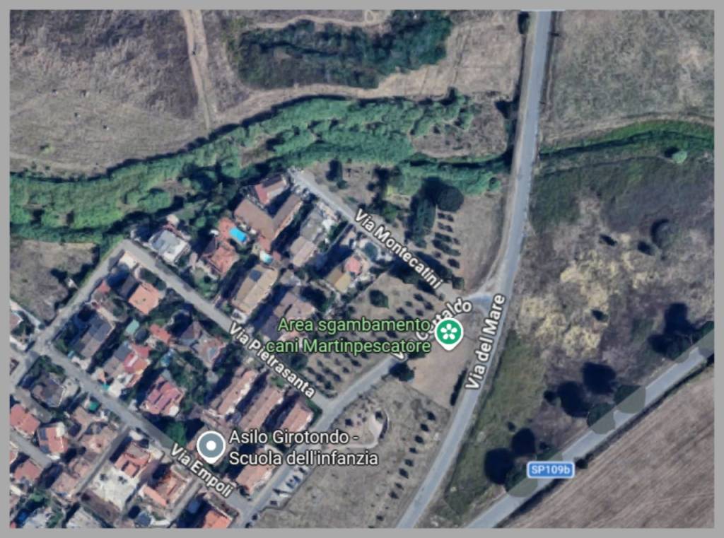 immagine annuncio 9 di 15