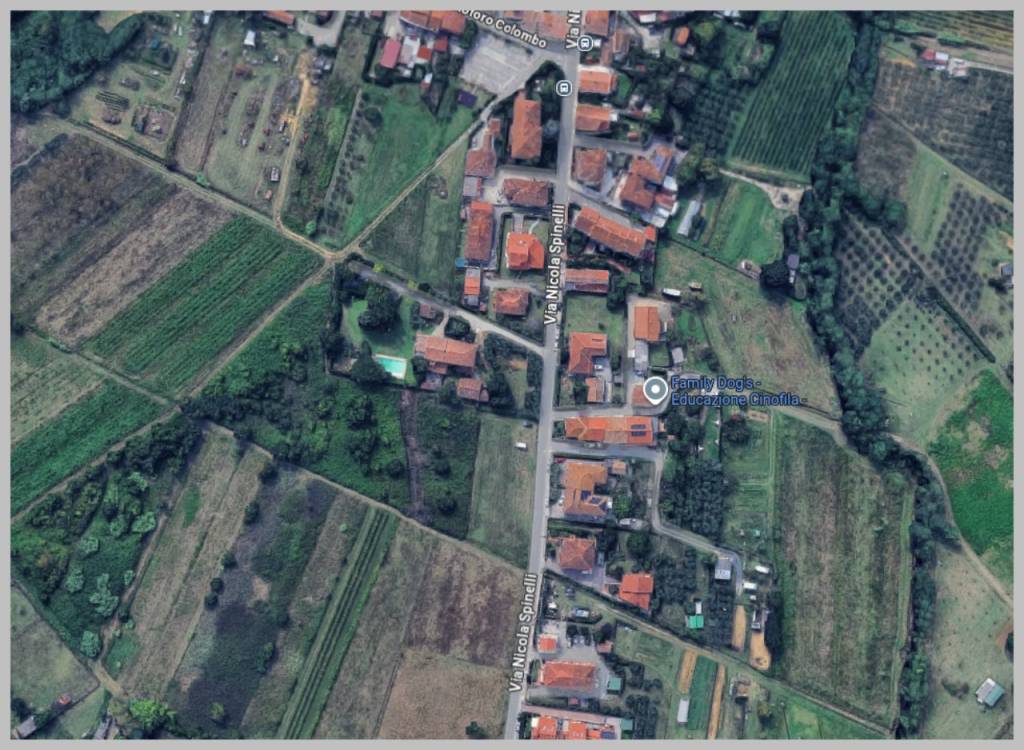 immagine annuncio 6 di 15