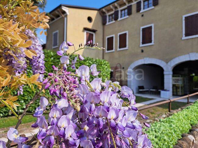 immagine annuncio 1 di 9