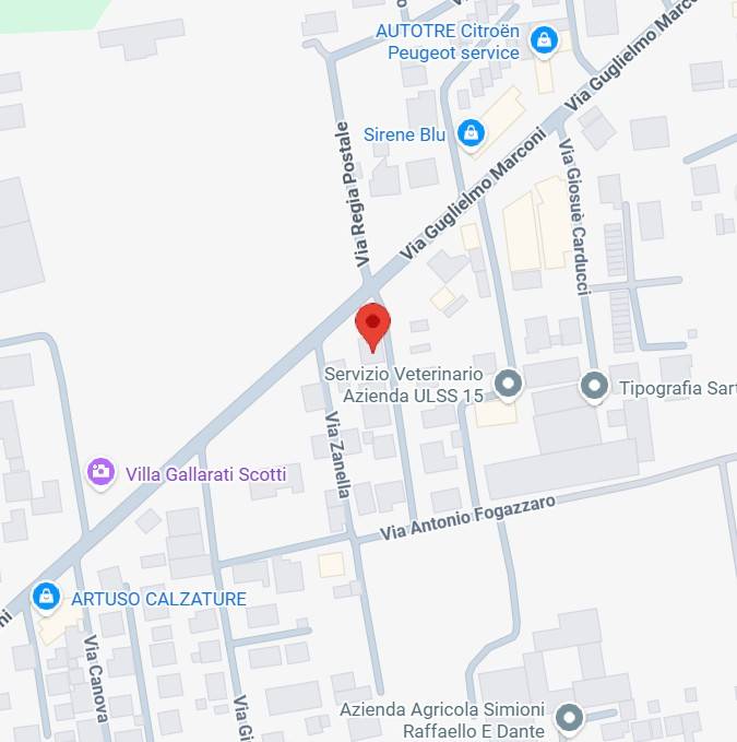 immagine annuncio 4 di 15