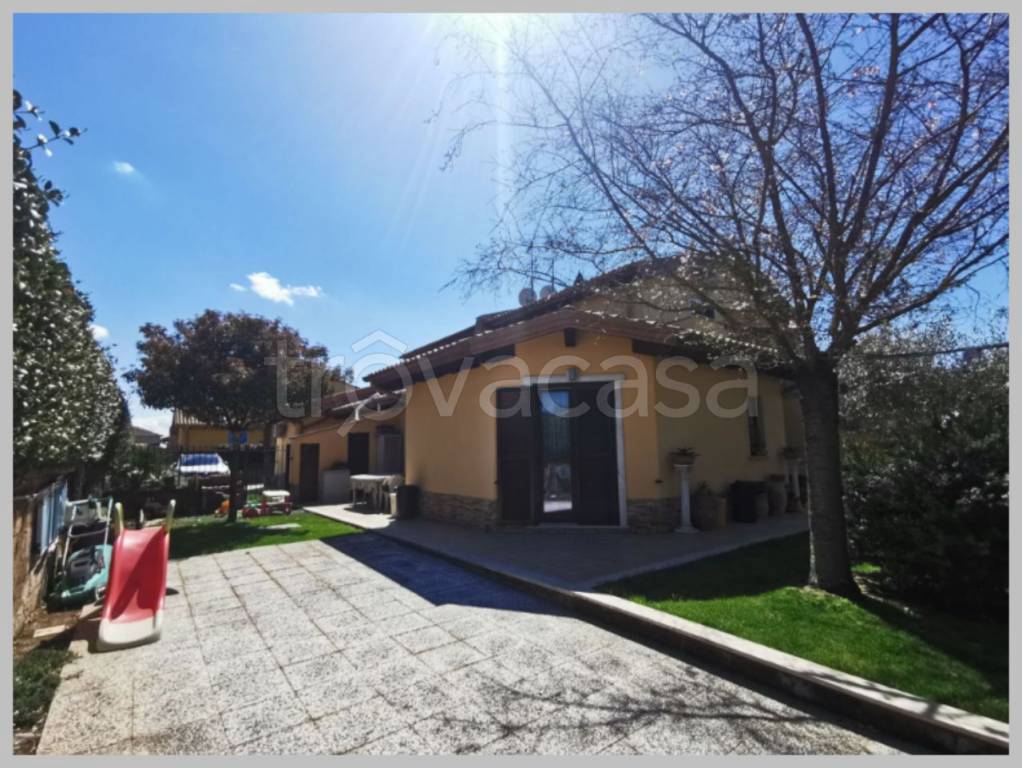 immagine annuncio 12 di 15