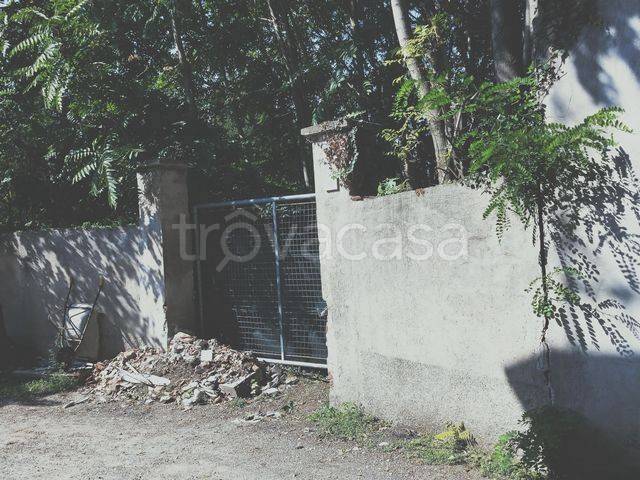 immagine annuncio 4 di 11