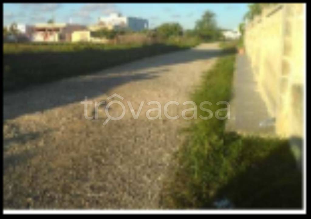 immagine annuncio 10 di 12