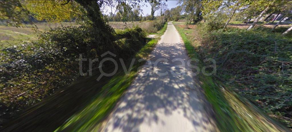 immagine annuncio 8 di 11