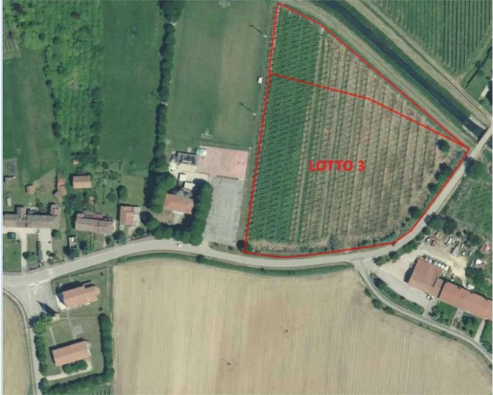 immagine annuncio 2 di 11