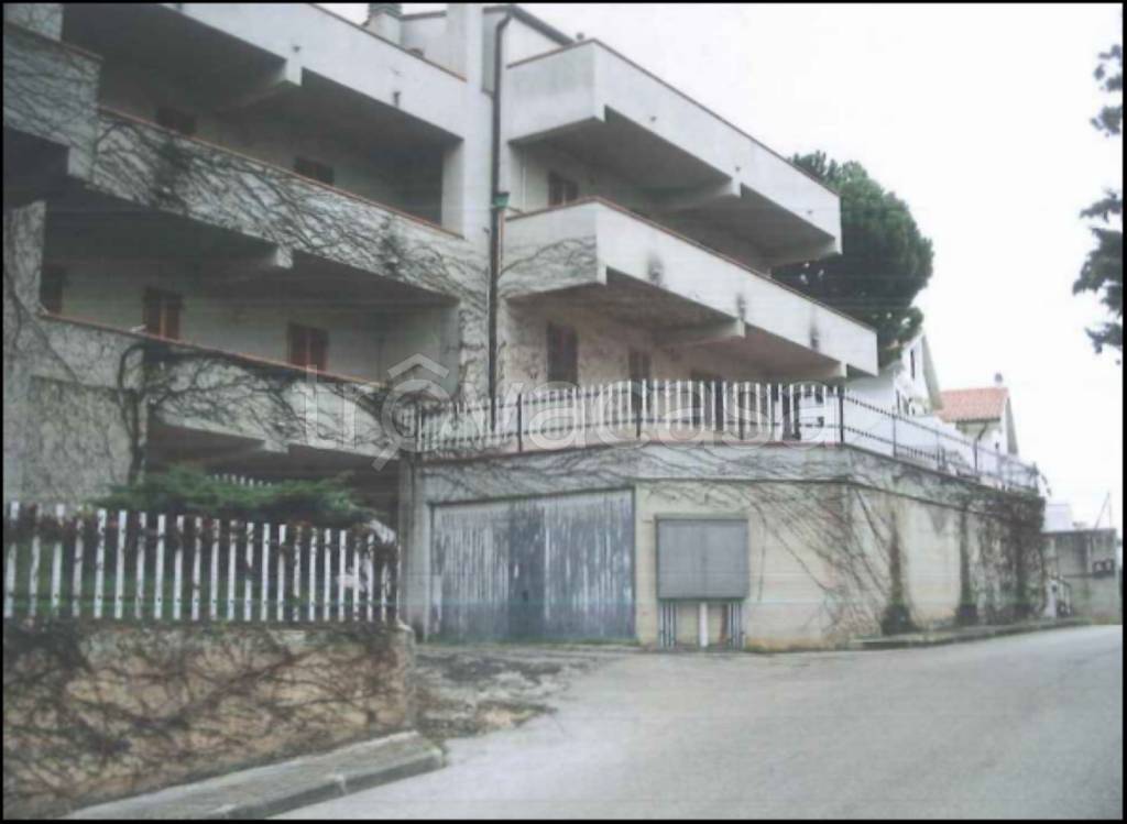 immagine annuncio 5 di 12