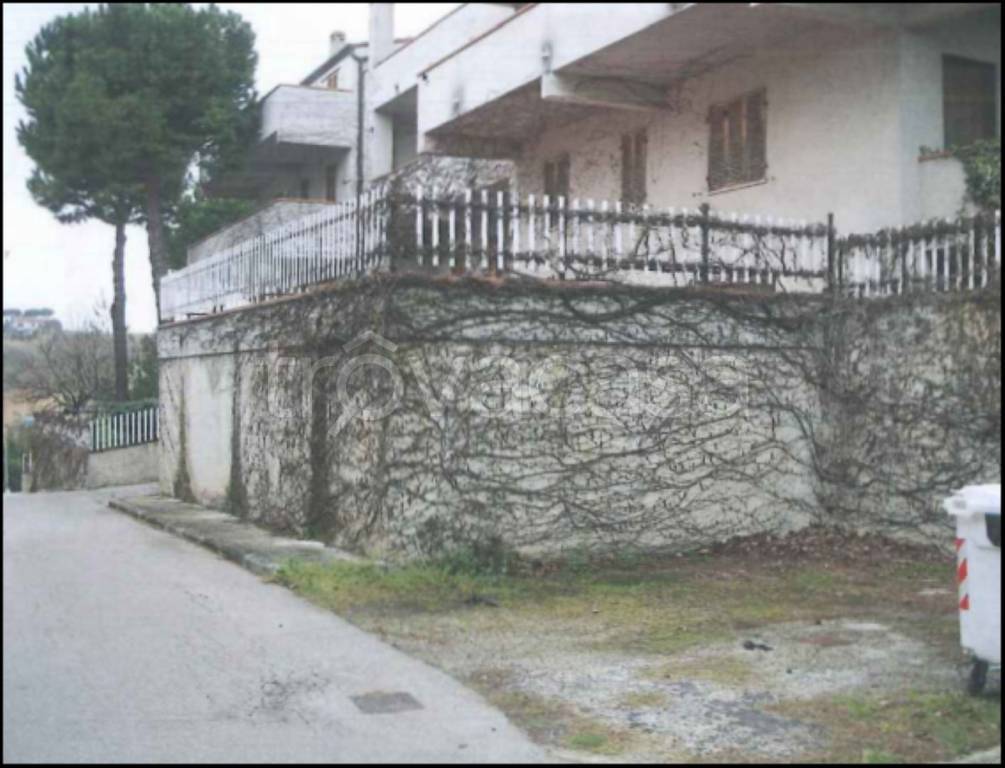 immagine annuncio 6 di 12