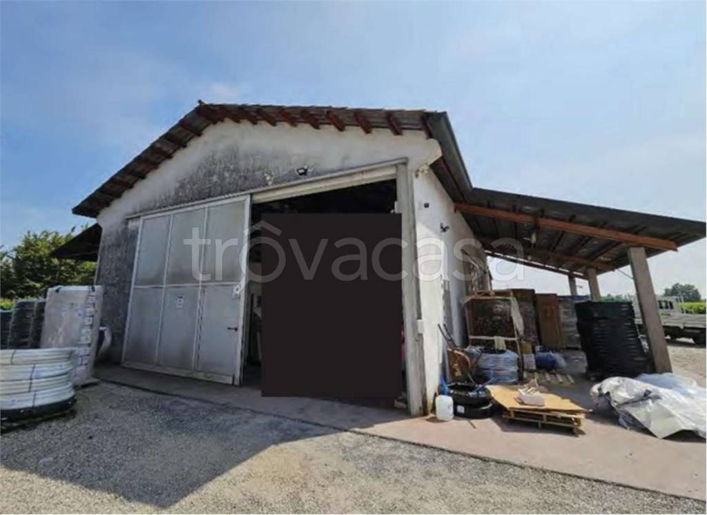 immagine annuncio 8 di 13