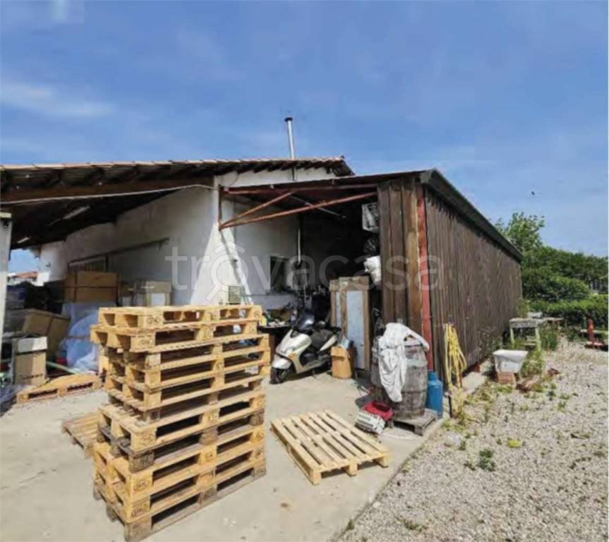 immagine annuncio 9 di 13