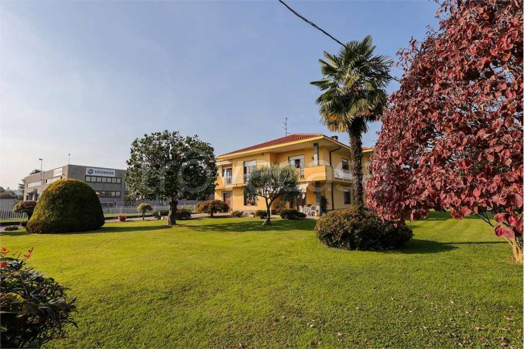 immagine annuncio 5 di 15