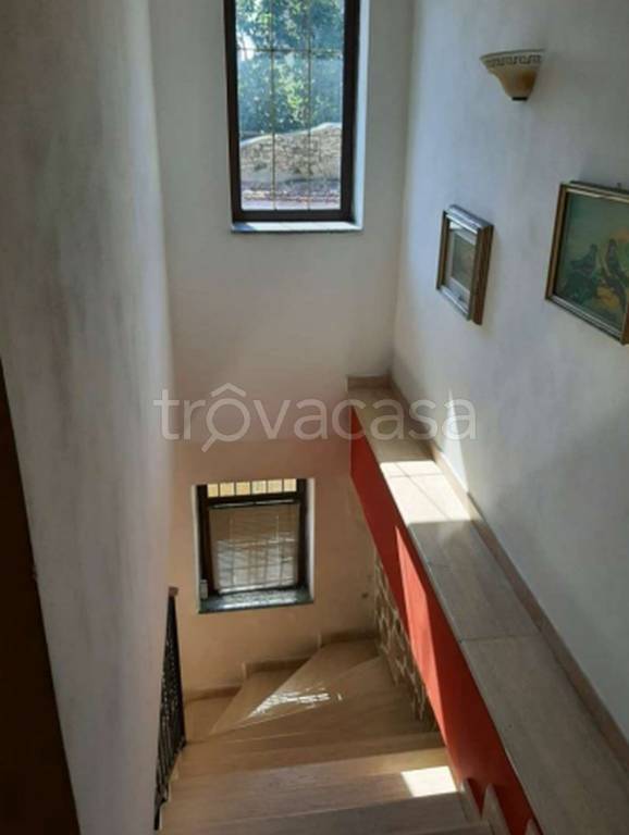 immagine annuncio 10 di 12