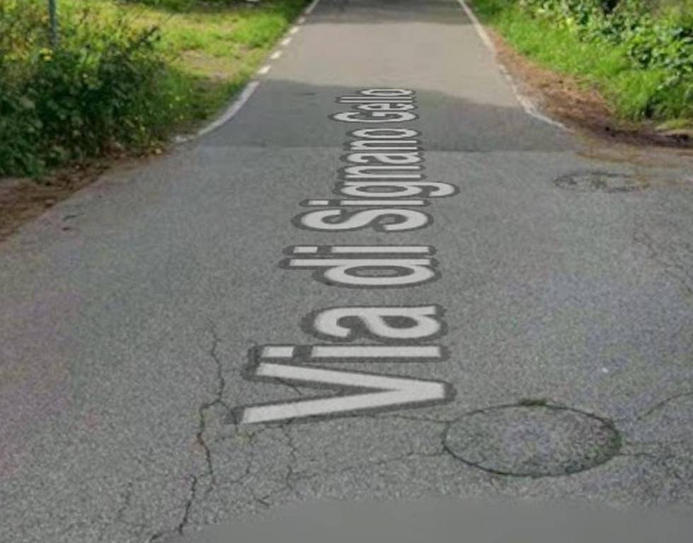 immagine annuncio 6 di 11