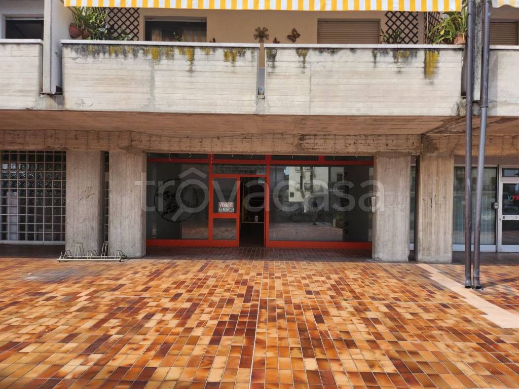 immagine annuncio 1 di 2