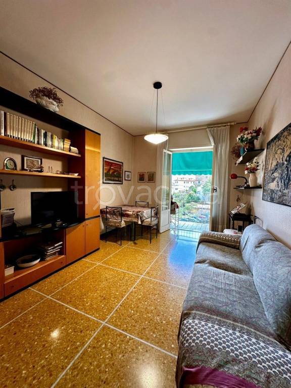 immagine annuncio 5 di 12