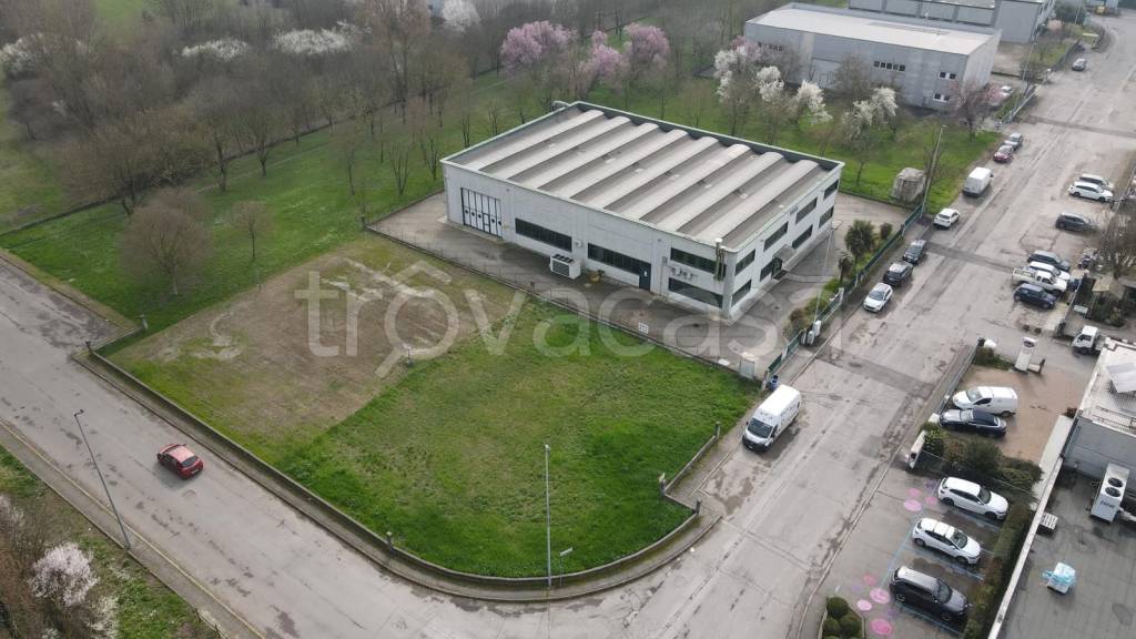 immagine annuncio 6 di 15