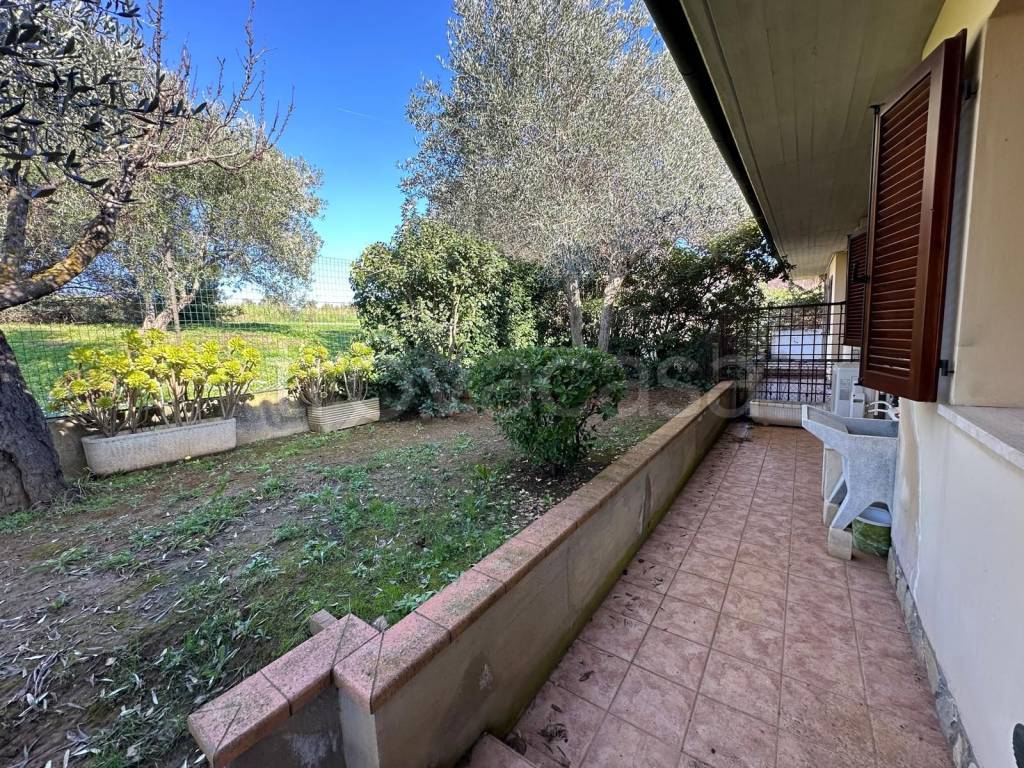 immagine annuncio 4 di 11