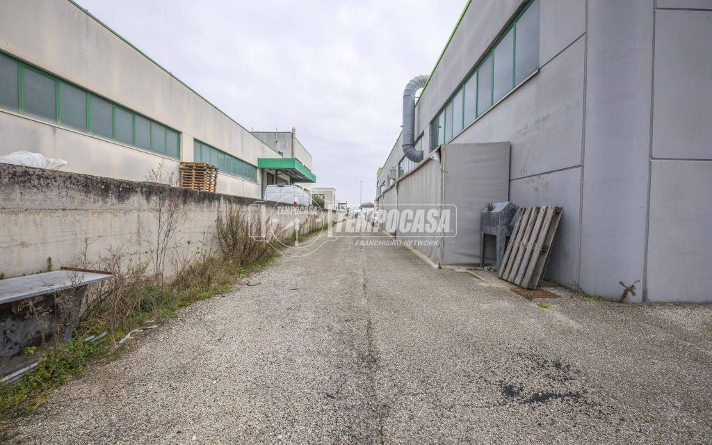 immagine annuncio 9 di 15