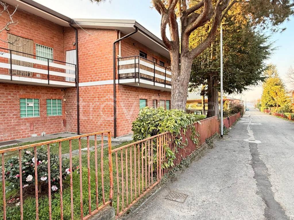 immagine annuncio 2 di 15