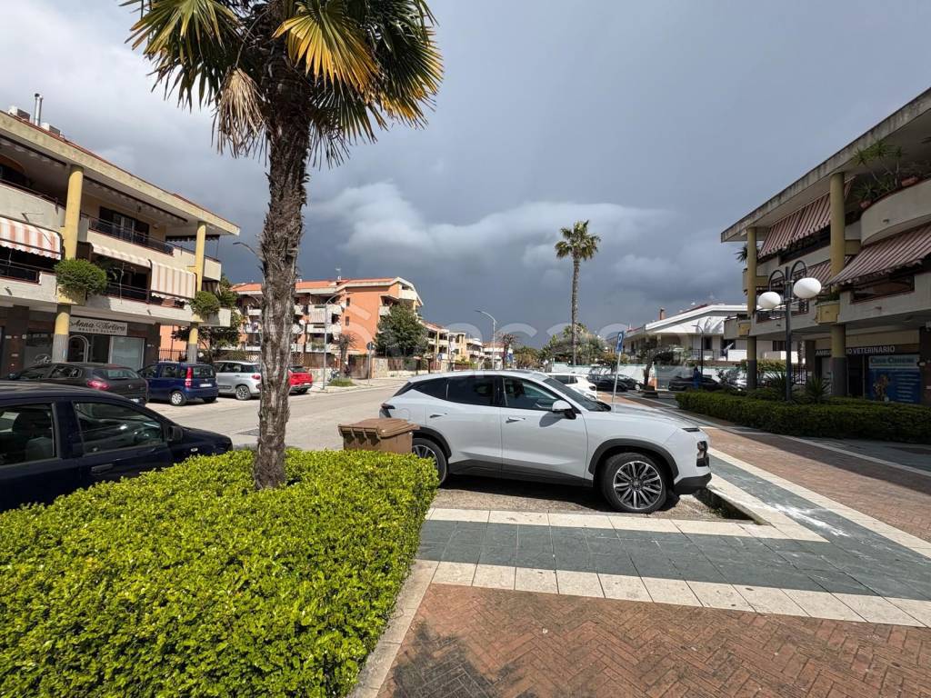 immagine annuncio 2 di 7