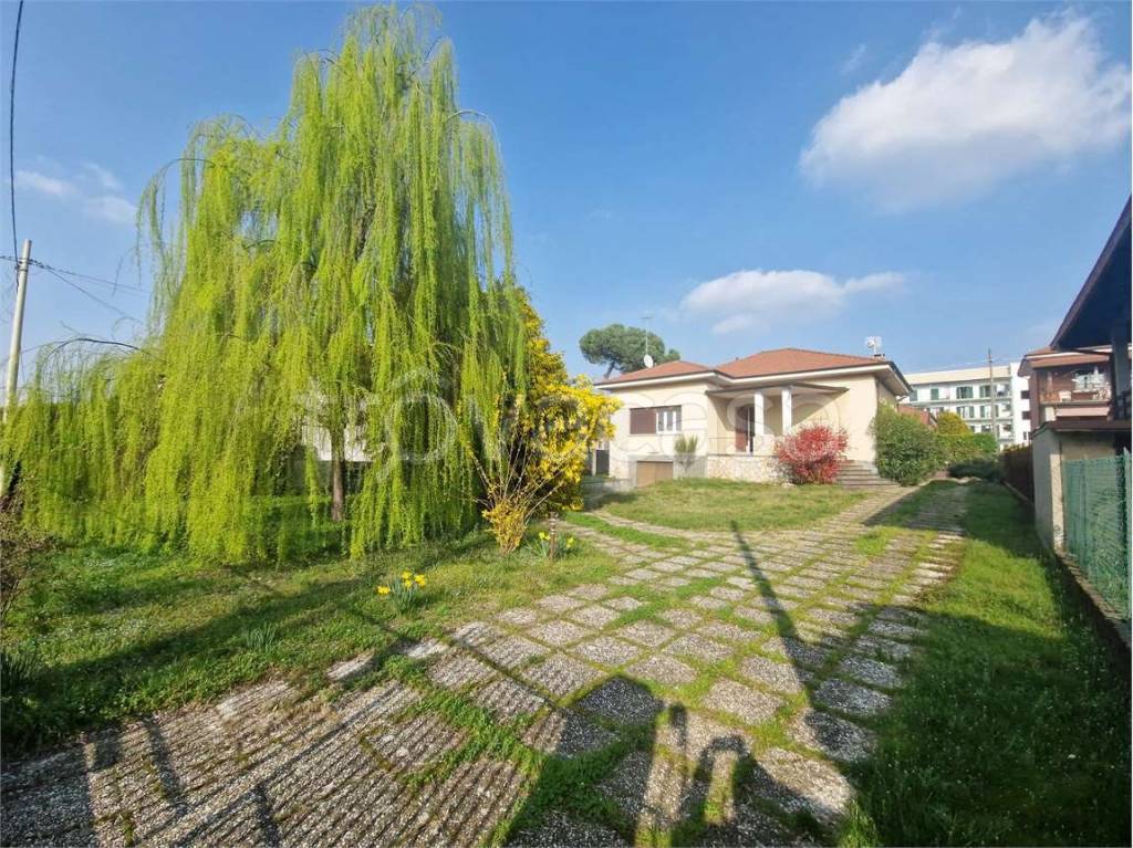 immagine annuncio 1 di 15