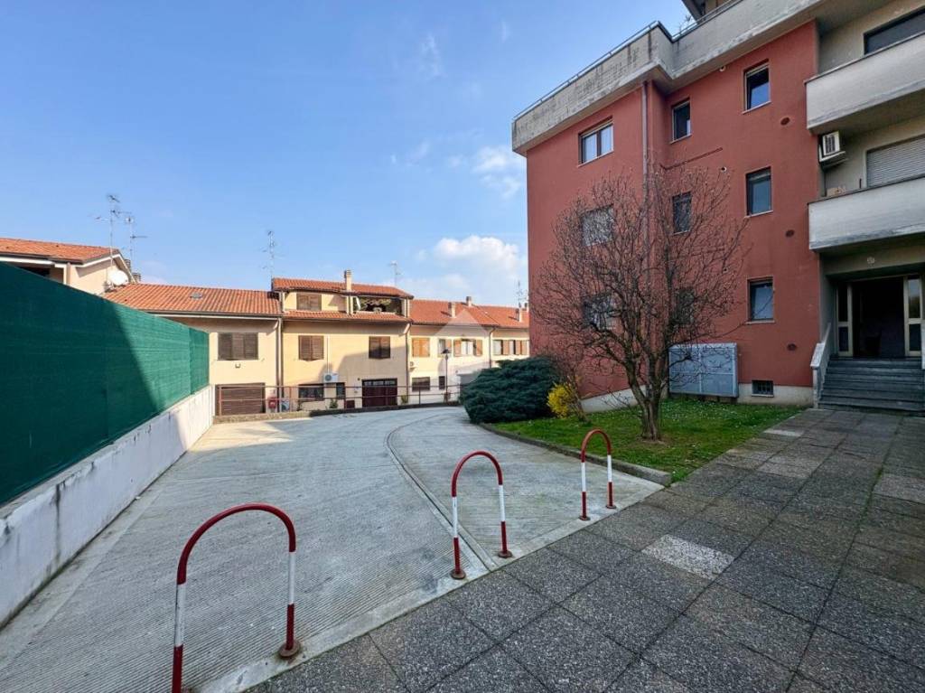 immagine annuncio 1 di 15