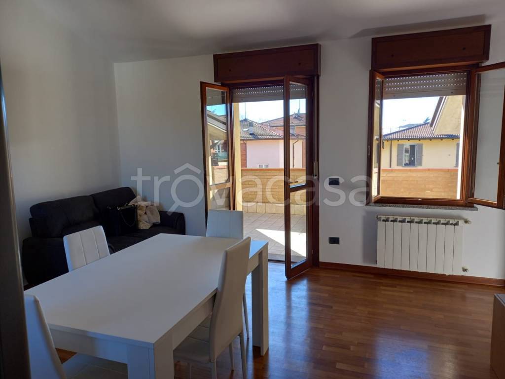 immagine annuncio 1 di 12