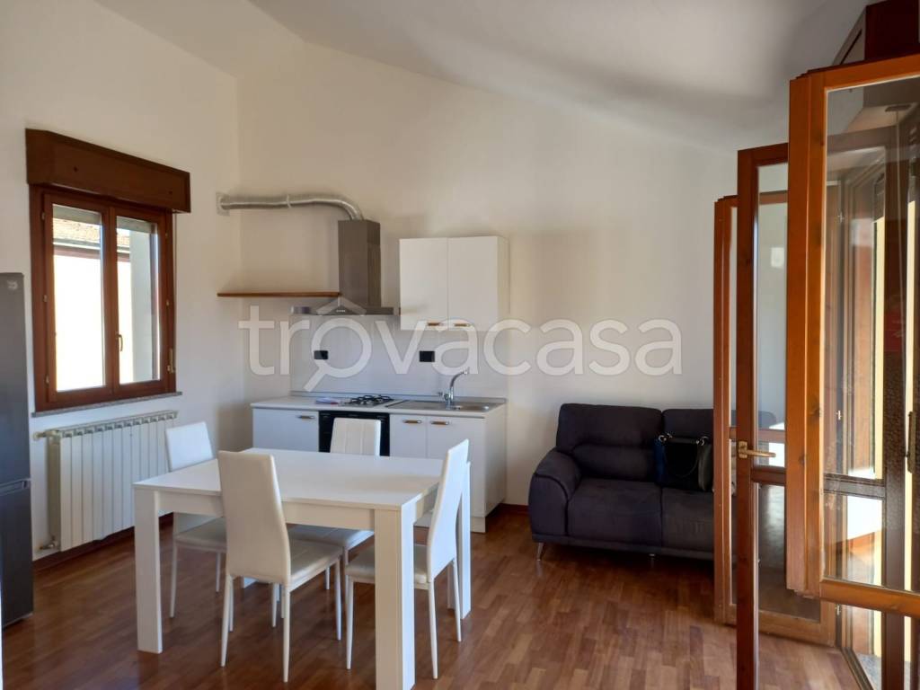 immagine annuncio 2 di 12