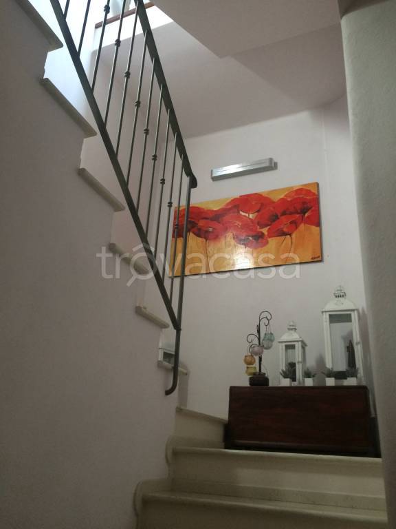 immagine annuncio 8 di 14