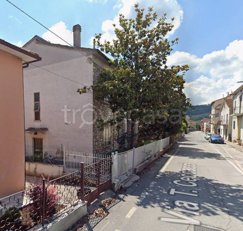 immagine annuncio 2 di 11