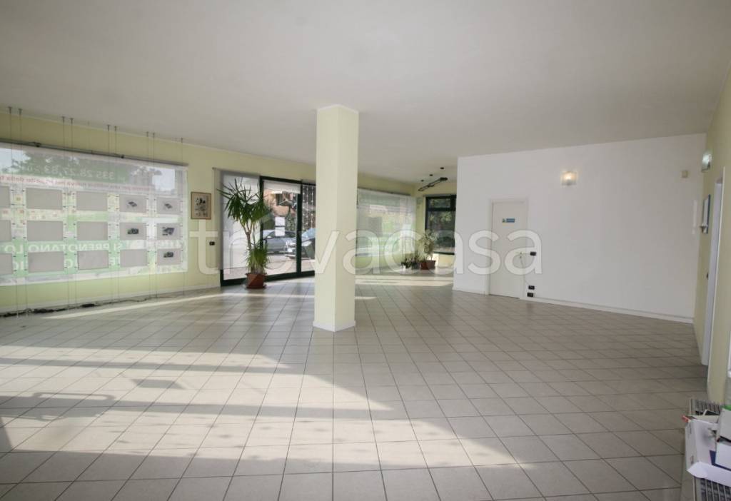 immagine annuncio 2 di 12