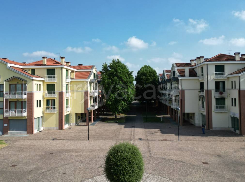 immagine annuncio 9 di 12