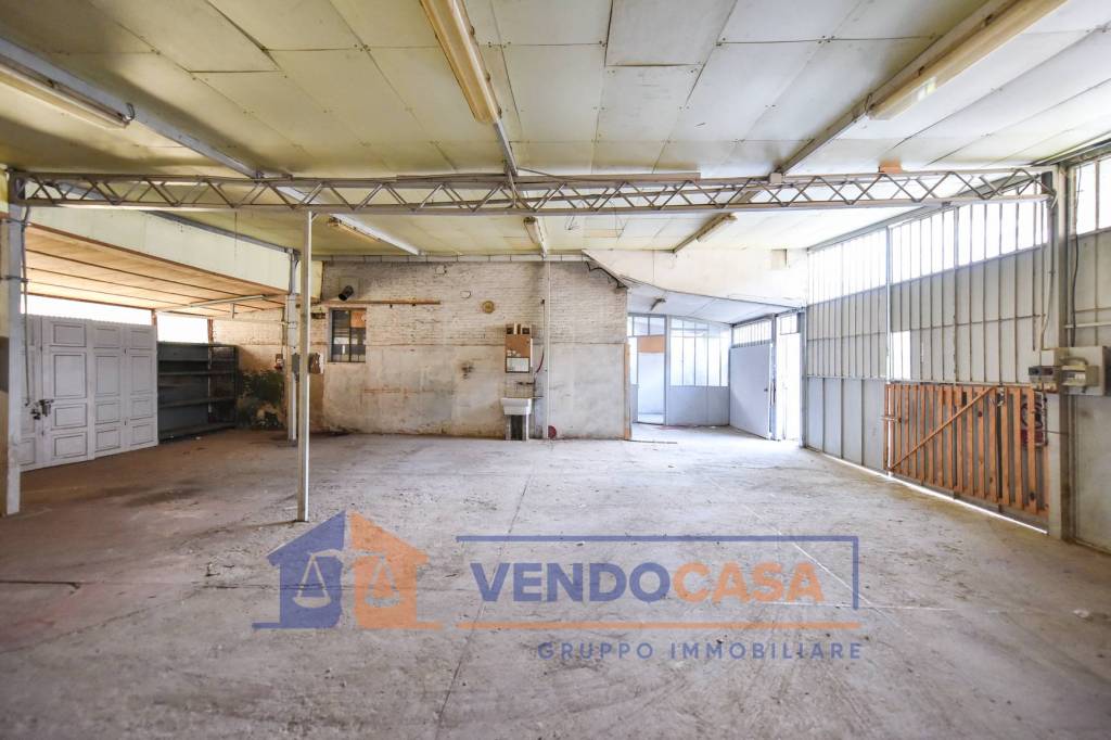 immagine annuncio 4 di 15