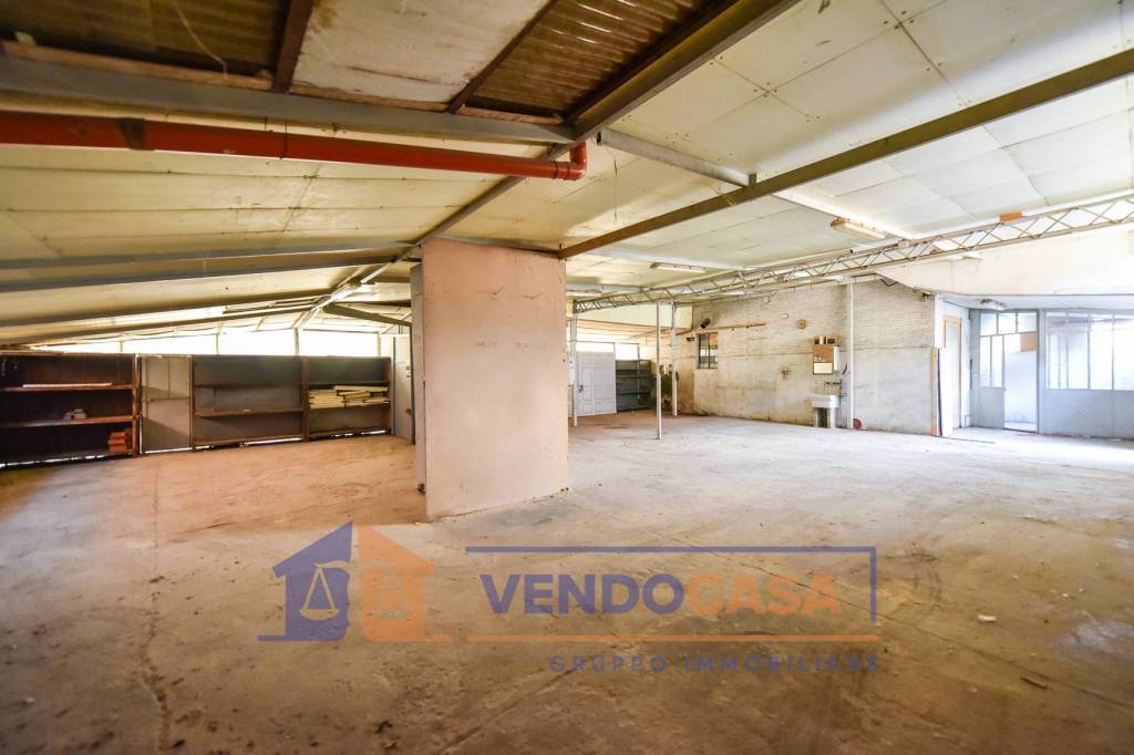 immagine annuncio 5 di 15