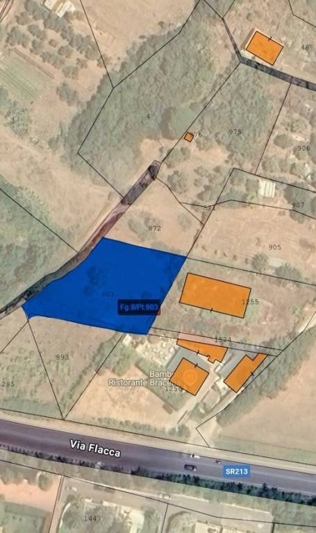 immagine annuncio 1 di 14