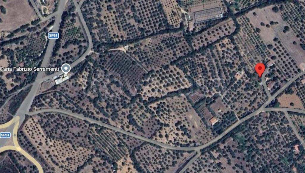 immagine annuncio 6 di 11