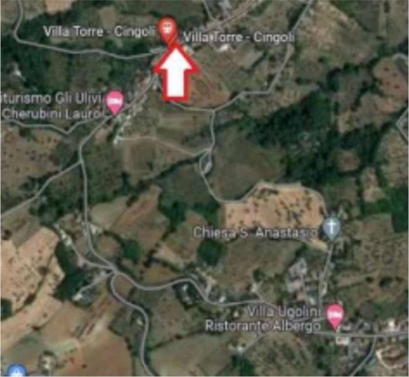 immagine annuncio 14 di 15