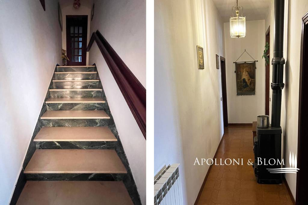 immagine annuncio 9 di 14