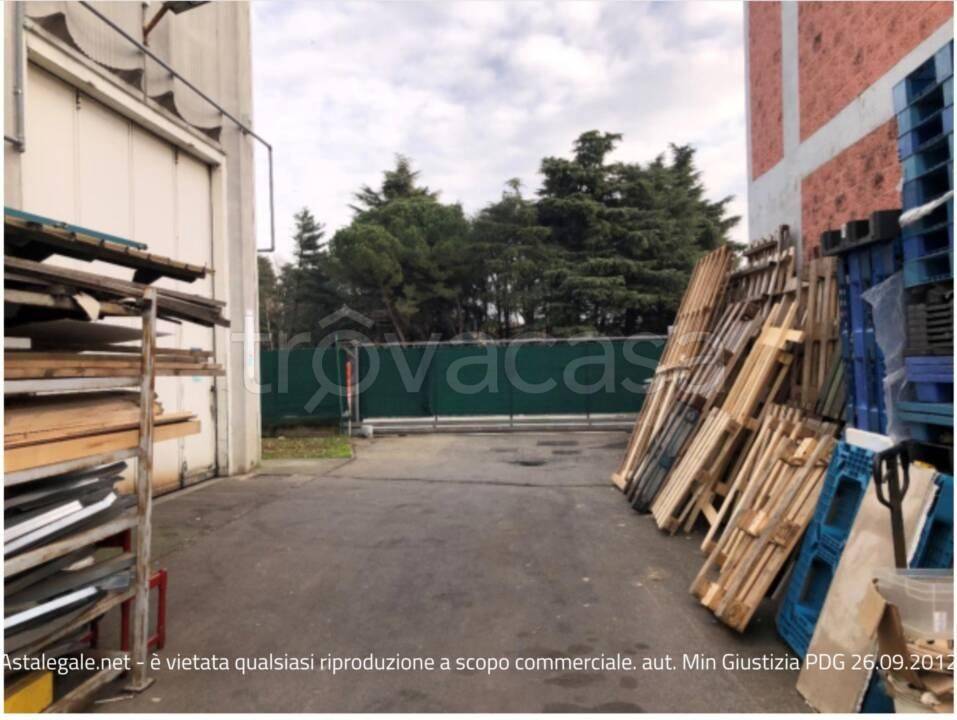 immagine annuncio 5 di 15