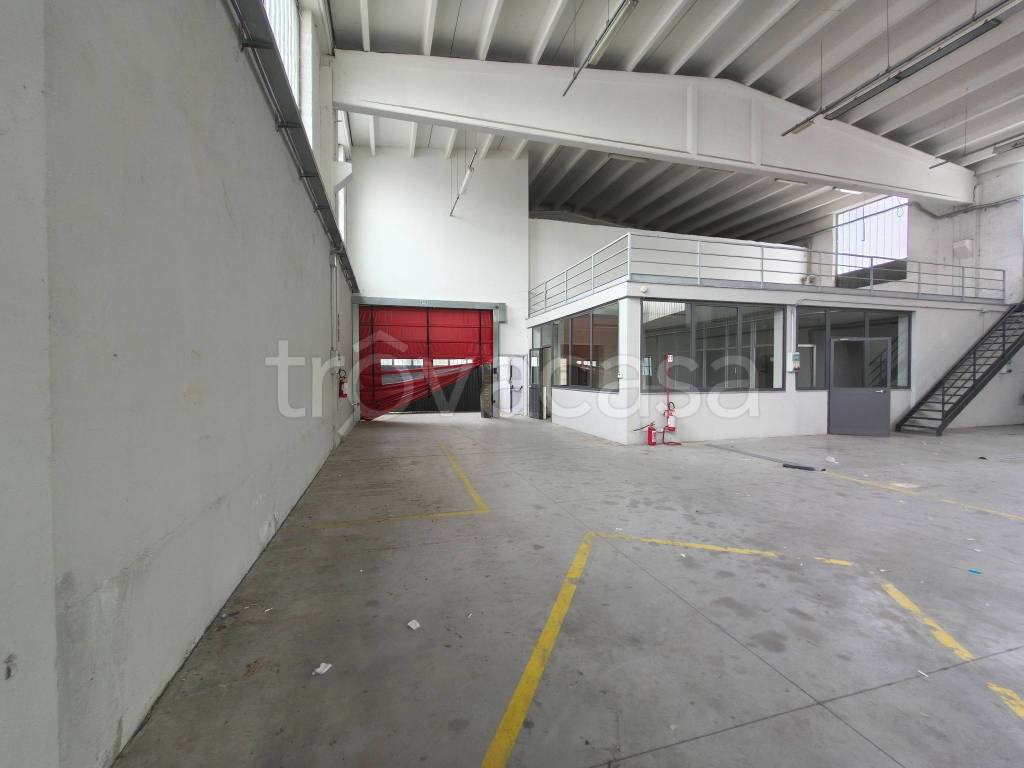 immagine annuncio 9 di 13