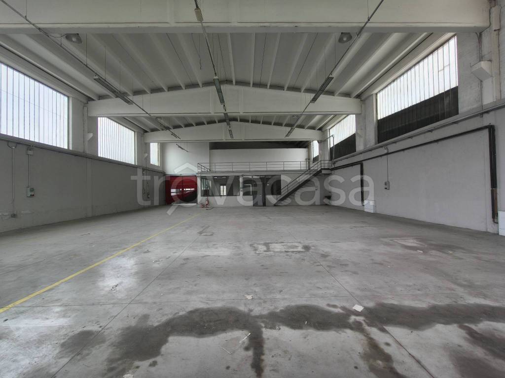 immagine annuncio 11 di 13