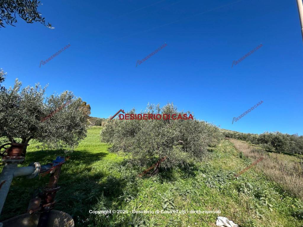 immagine annuncio 1 di 2