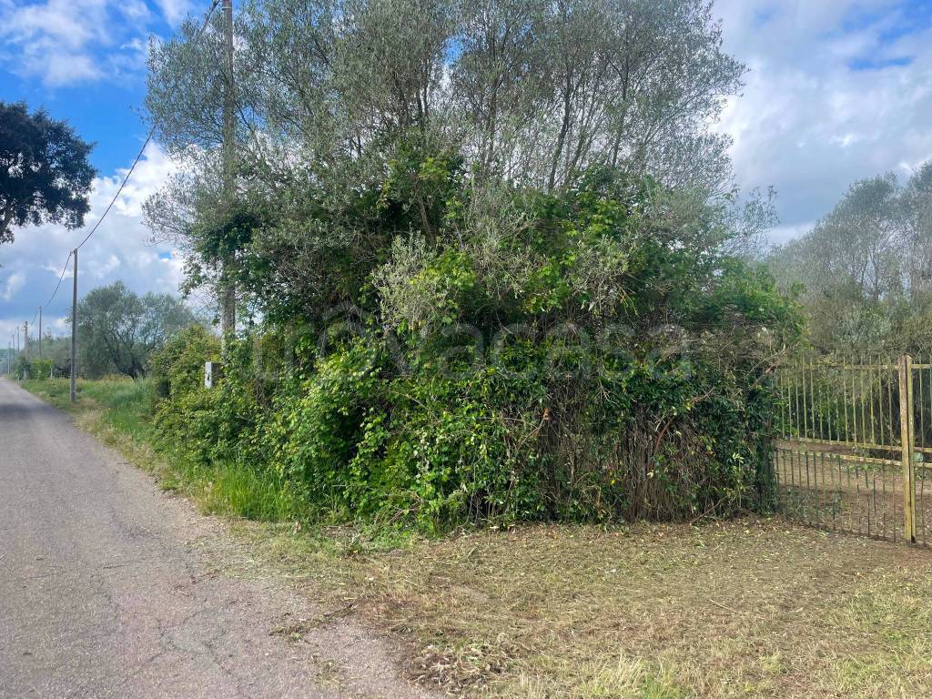 immagine annuncio 6 di 15