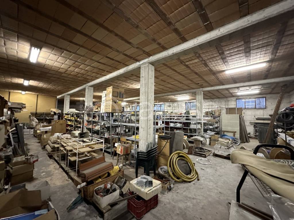 immagine annuncio 1 di 14