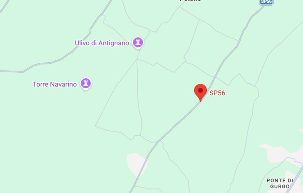 immagine annuncio 4 di 11