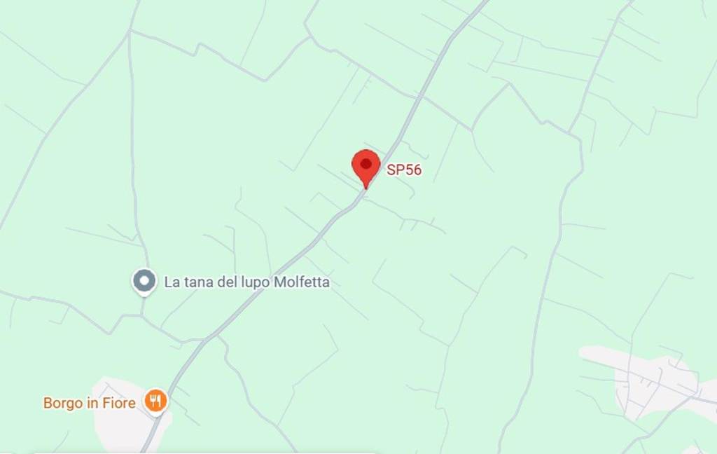 immagine annuncio 5 di 11